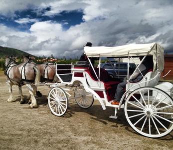 Hayrides & Carriage Rides in Keystone