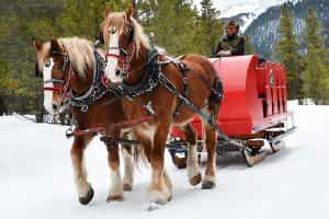 Sleigh Rides in Keystone